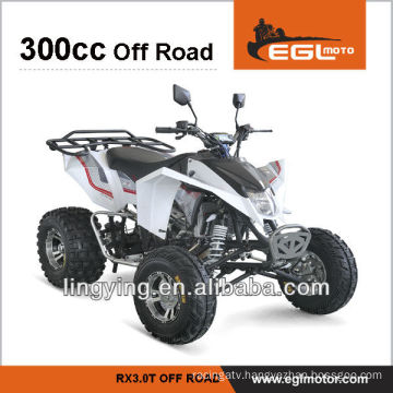 300CC road legal sport bike